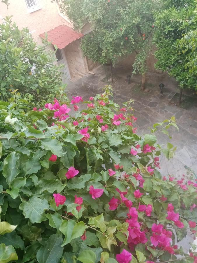 Aegina'S Flowers House Exterior foto